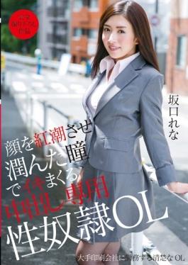 Dedicated Sexual Slavery OL Rena Sakaguchi Out In That Spree Alive In The Pupil That Junn To Flush The Face