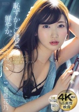 PRED-302 Studio PREMIUM  Wallowing In Shame, Sweat, And Body Fluids...Licking Instinct And Kissing Orgasms Kano Kashii