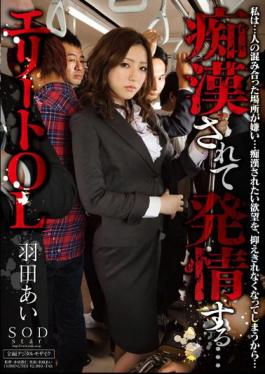 Mosaic STAR-336 Estrus Is To Pervert Love Haneda Elite OL ...