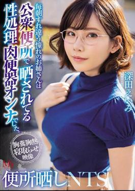 Mosaic MVSD-432 Toilet Exposed NTS My Longing Older Sister Passing Each Morning Was A Sexually Treated Meat Urinal Woman Exposed In A Public Toilet. Eimi Fukada