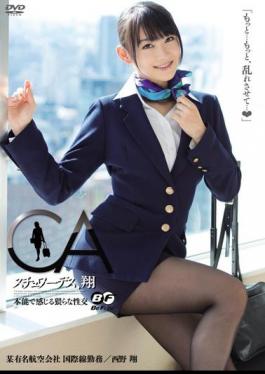 Mosaic BF-240 Sho Nishino Et Al Intercourse  Feel Stewardess, By Instinct Sho