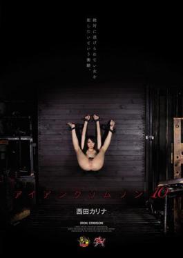 Mosaic DASD-326 Iron Crimson 10 Nishida Karina