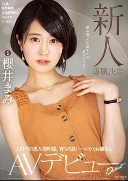 Mosaic PRED-273 Newcomer Exclusive Decision The Blessing Of Nature Transparency. Well-bred Hanikami Sister AV Debut Mami Sakurai