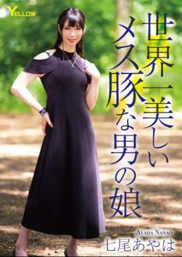 HERY-141 Ayaha Nanao, The World's Most Beautiful Male Pig