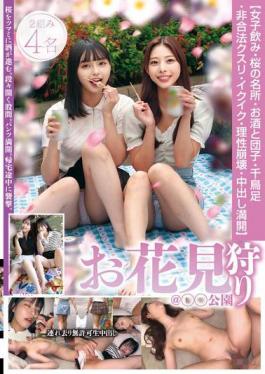 STSK-166 Cherry Blossom Viewing girls Drinking, Famous Cherry Blossom Spots, Alcohol And Dumplings, Staggering, Illegal Drugs, Cumming, Losing One's Mind, Creampie In Full Bloom Hunting