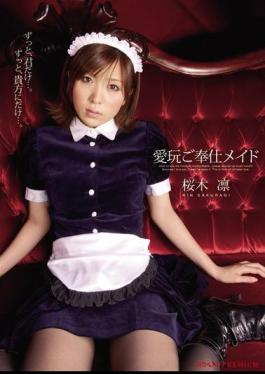 Mosaic PGD-421 Rin Sakuragi Your Pet Maid Service