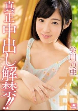 Mosaic HND-354 Pies Authenticity Ban! Sakaegawa Noa